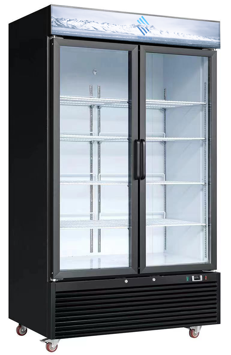 48” TWO GLASS SWING DOOR FREEZER SML-GD48F-SWD